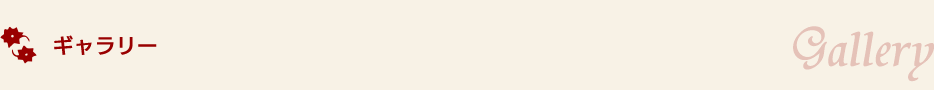 ギャラリー